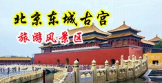 被添高潮爱爱免费视频浪潮中国北京-东城古宫旅游风景区
